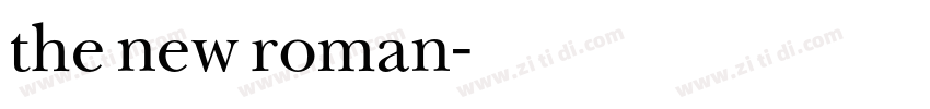the new roman字体转换